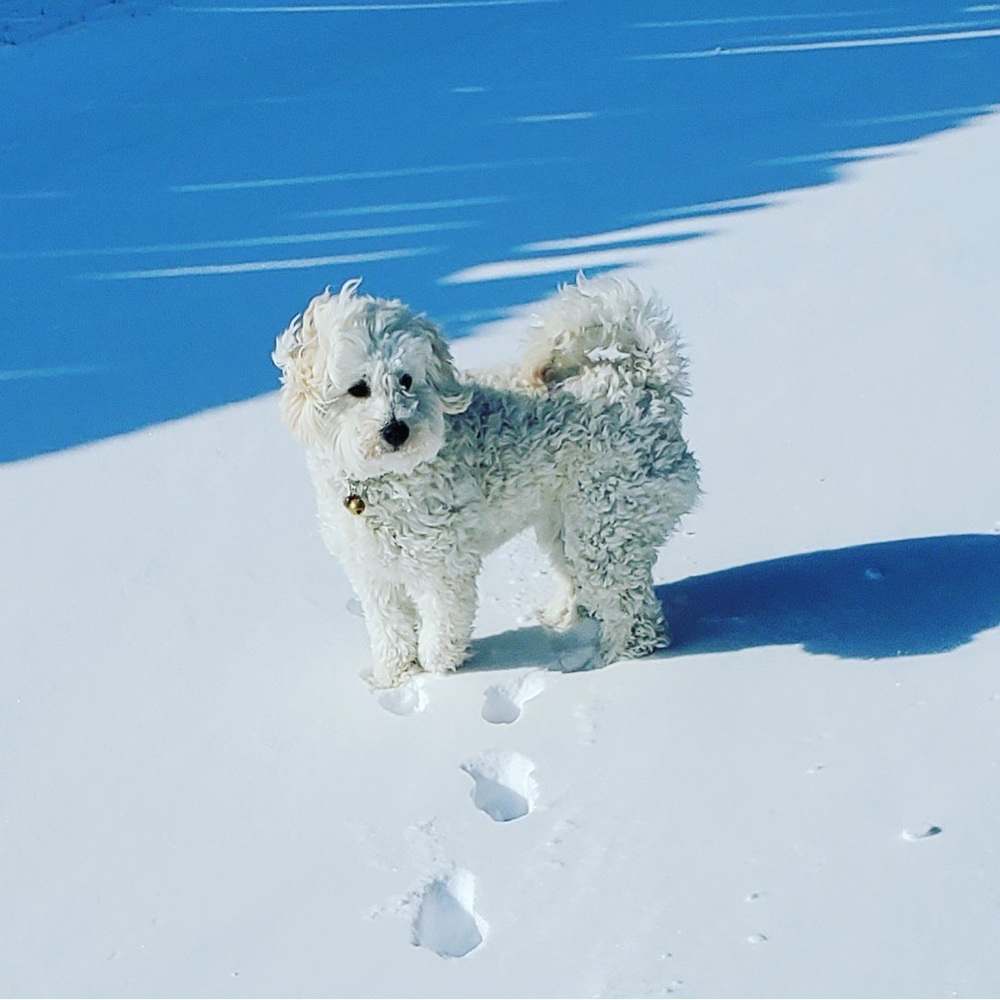 Meet your Posher, Notskie